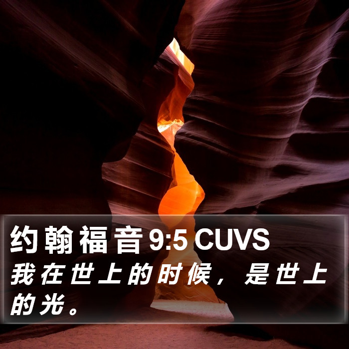 约 翰 福 音 9:5 CUVS Bible Study