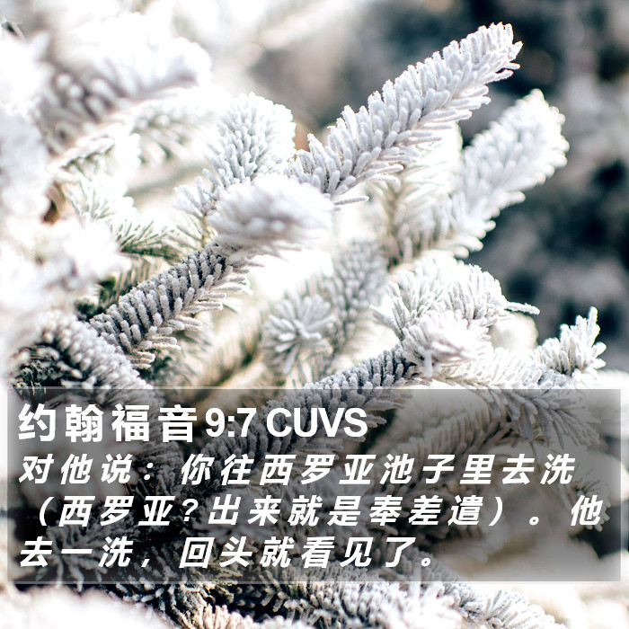 约 翰 福 音 9:7 CUVS Bible Study