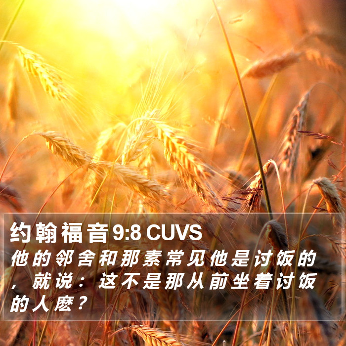 约 翰 福 音 9:8 CUVS Bible Study