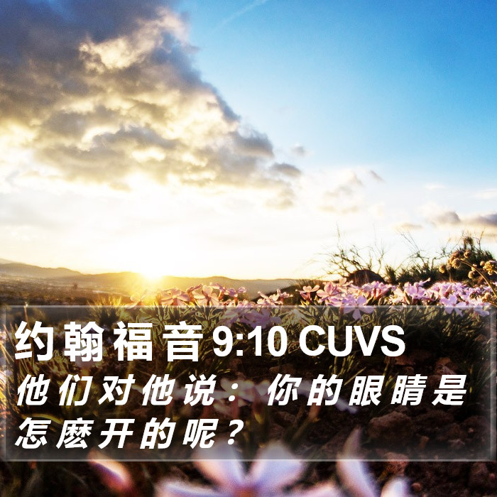 约 翰 福 音 9:10 CUVS Bible Study