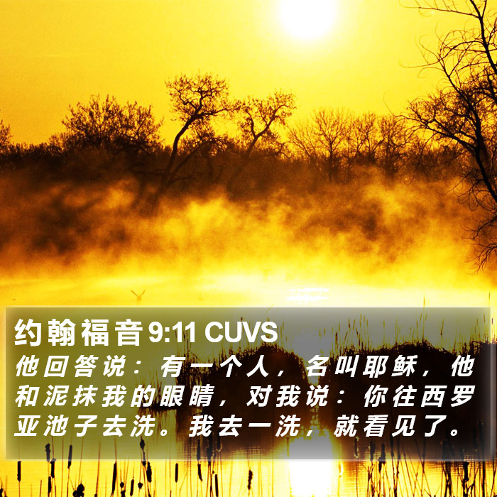 约 翰 福 音 9:11 CUVS Bible Study