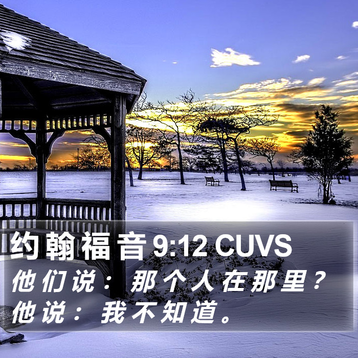 约 翰 福 音 9:12 CUVS Bible Study