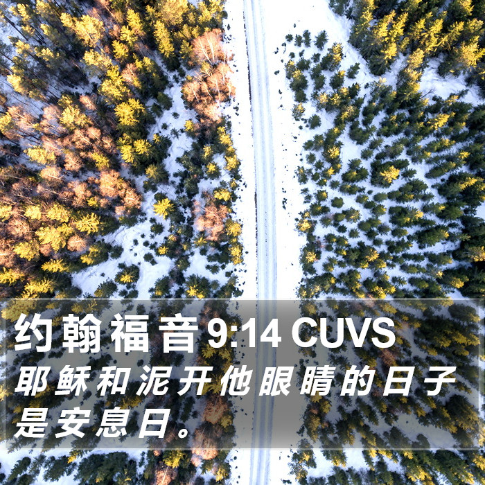 约 翰 福 音 9:14 CUVS Bible Study