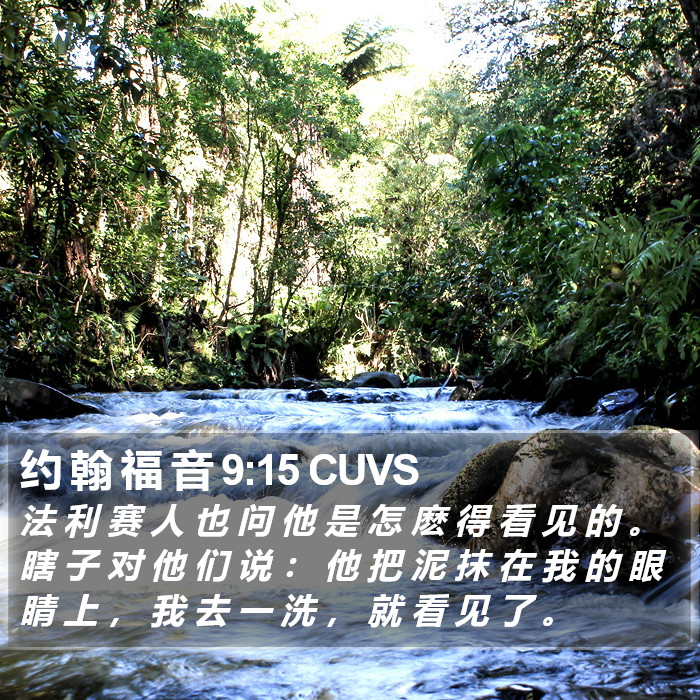 约 翰 福 音 9:15 CUVS Bible Study