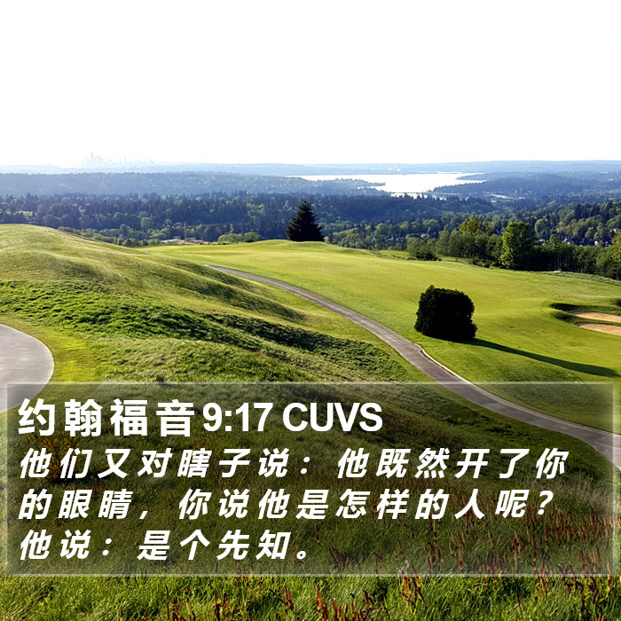 约 翰 福 音 9:17 CUVS Bible Study