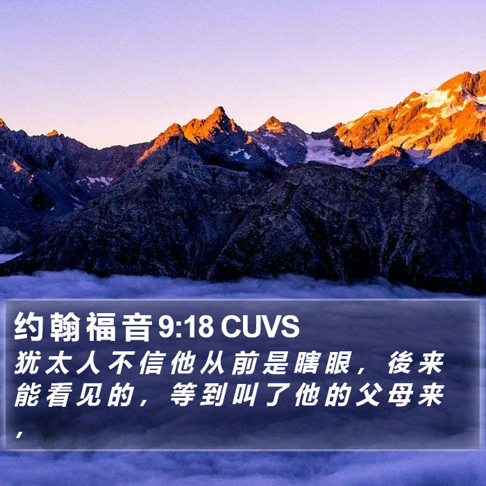 约 翰 福 音 9:18 CUVS Bible Study