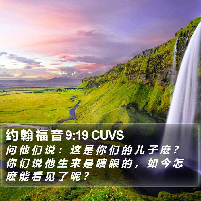 约 翰 福 音 9:19 CUVS Bible Study