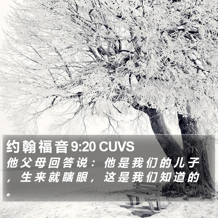 约 翰 福 音 9:20 CUVS Bible Study