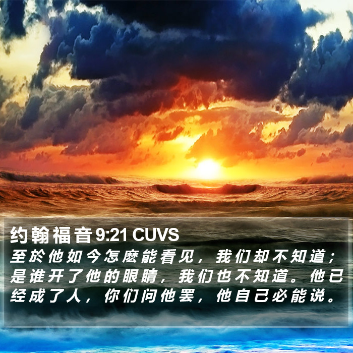 约 翰 福 音 9:21 CUVS Bible Study