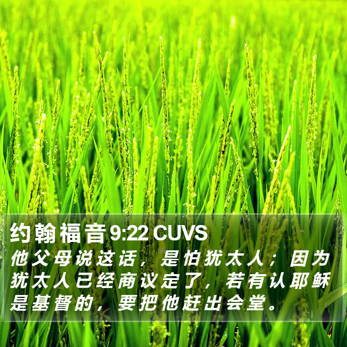 约 翰 福 音 9:22 CUVS Bible Study