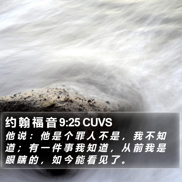 约 翰 福 音 9:25 CUVS Bible Study