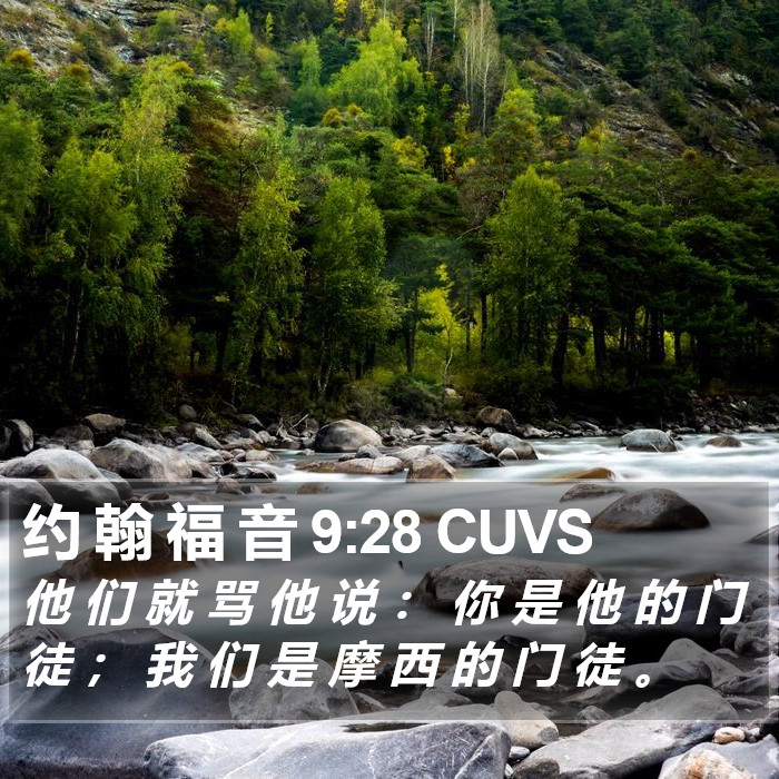 约 翰 福 音 9:28 CUVS Bible Study