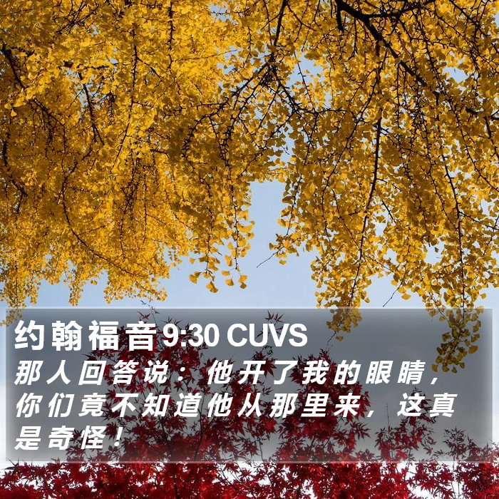 约 翰 福 音 9:30 CUVS Bible Study