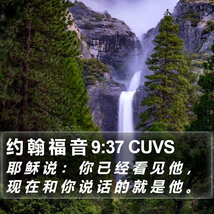 约 翰 福 音 9:37 CUVS Bible Study