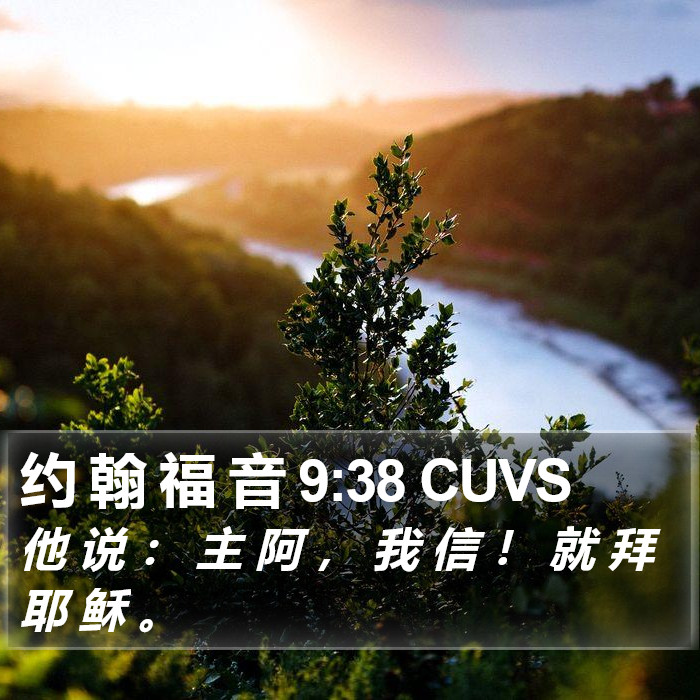 约 翰 福 音 9:38 CUVS Bible Study