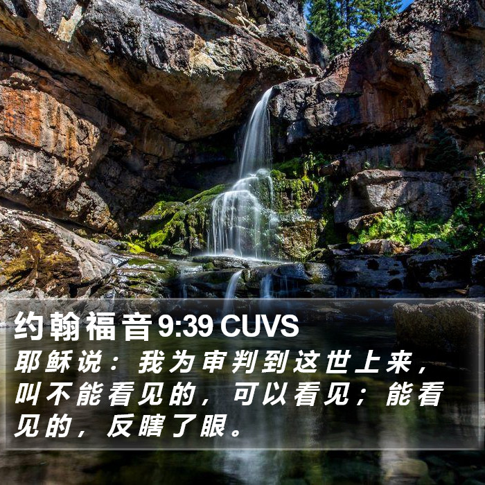 约 翰 福 音 9:39 CUVS Bible Study