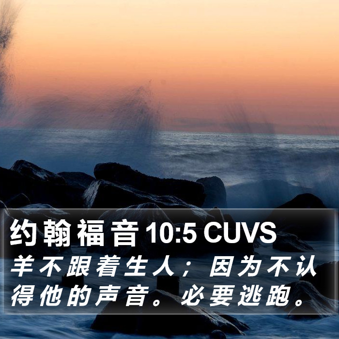 约 翰 福 音 10:5 CUVS Bible Study