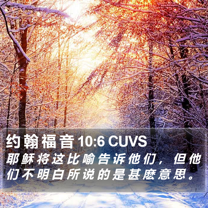 约 翰 福 音 10:6 CUVS Bible Study