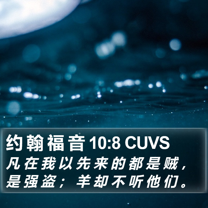 约 翰 福 音 10:8 CUVS Bible Study