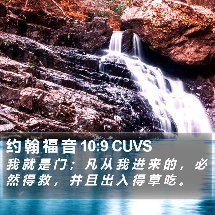 约 翰 福 音 10:9 CUVS Bible Study