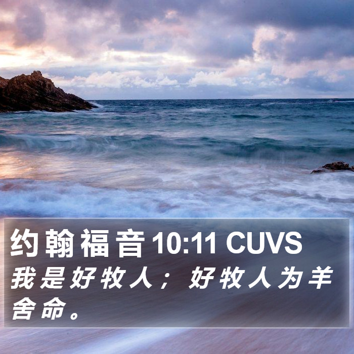 约 翰 福 音 10:11 CUVS Bible Study