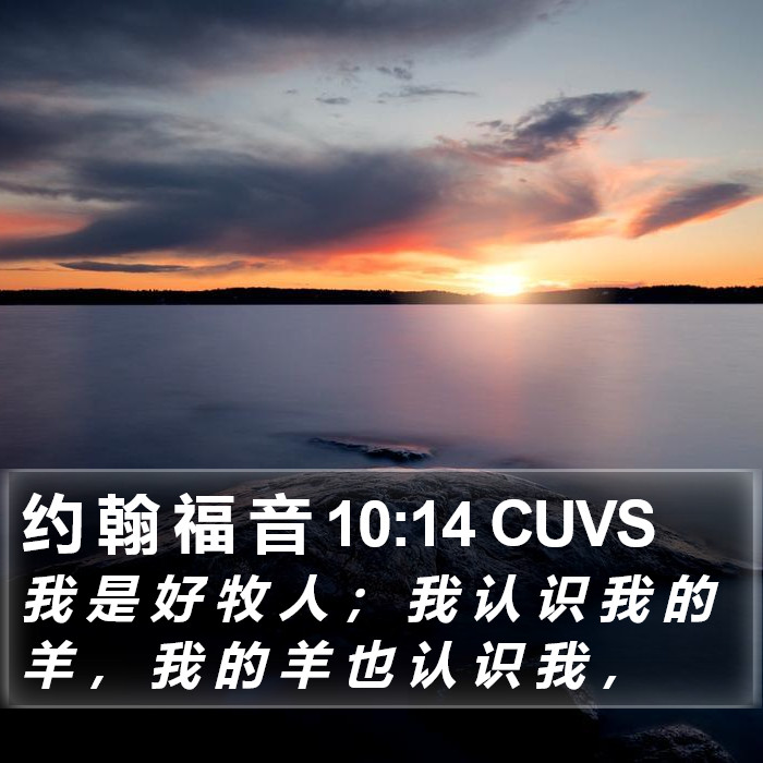 约 翰 福 音 10:14 CUVS Bible Study