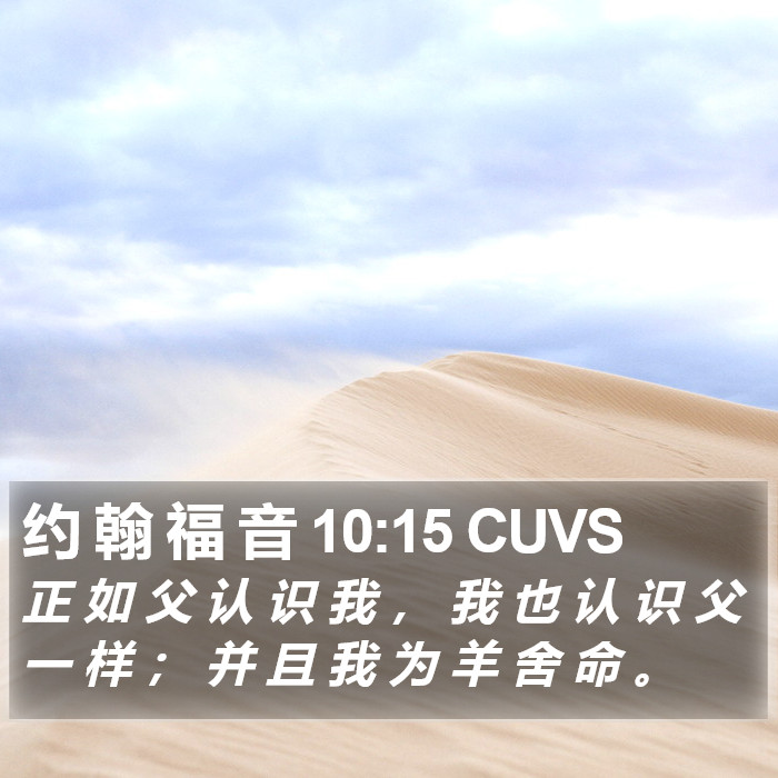 约 翰 福 音 10:15 CUVS Bible Study