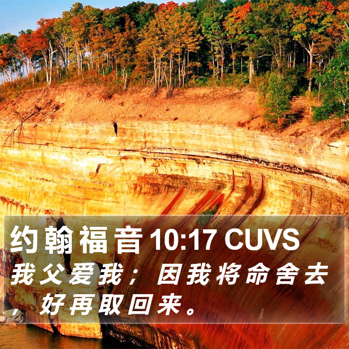 约 翰 福 音 10:17 CUVS Bible Study