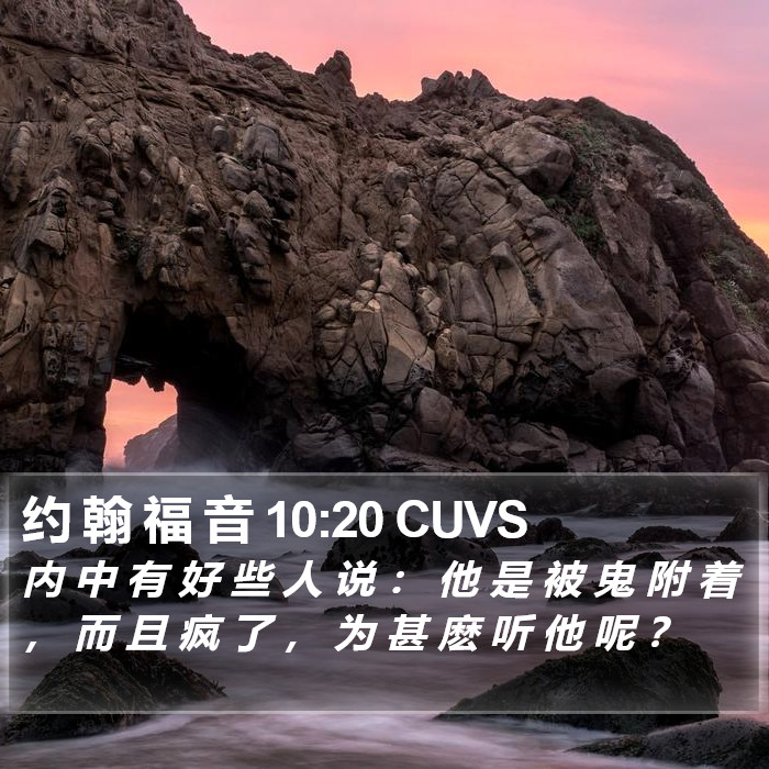 约 翰 福 音 10:20 CUVS Bible Study