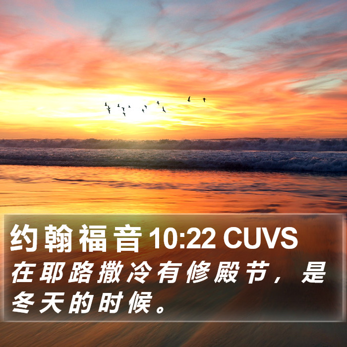 约 翰 福 音 10:22 CUVS Bible Study