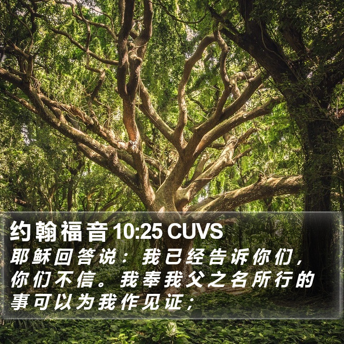 约 翰 福 音 10:25 CUVS Bible Study