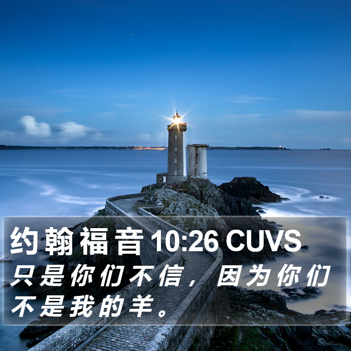 约 翰 福 音 10:26 CUVS Bible Study