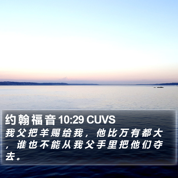 约 翰 福 音 10:29 CUVS Bible Study