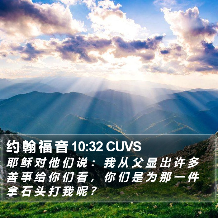 约 翰 福 音 10:32 CUVS Bible Study