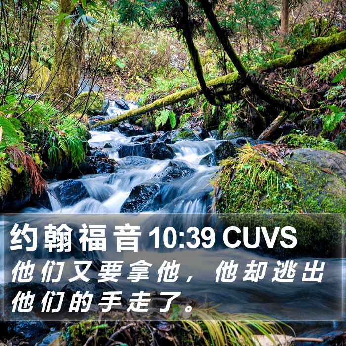 约 翰 福 音 10:39 CUVS Bible Study