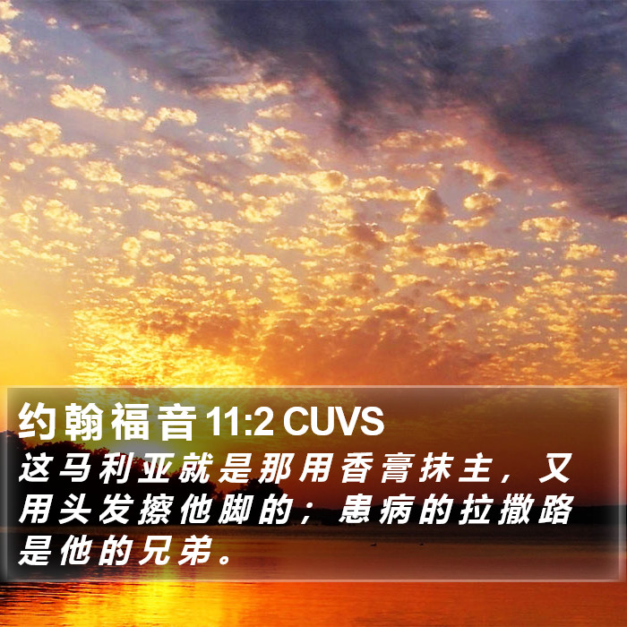 约 翰 福 音 11:2 CUVS Bible Study