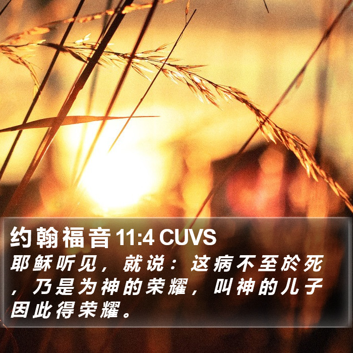 约 翰 福 音 11:4 CUVS Bible Study