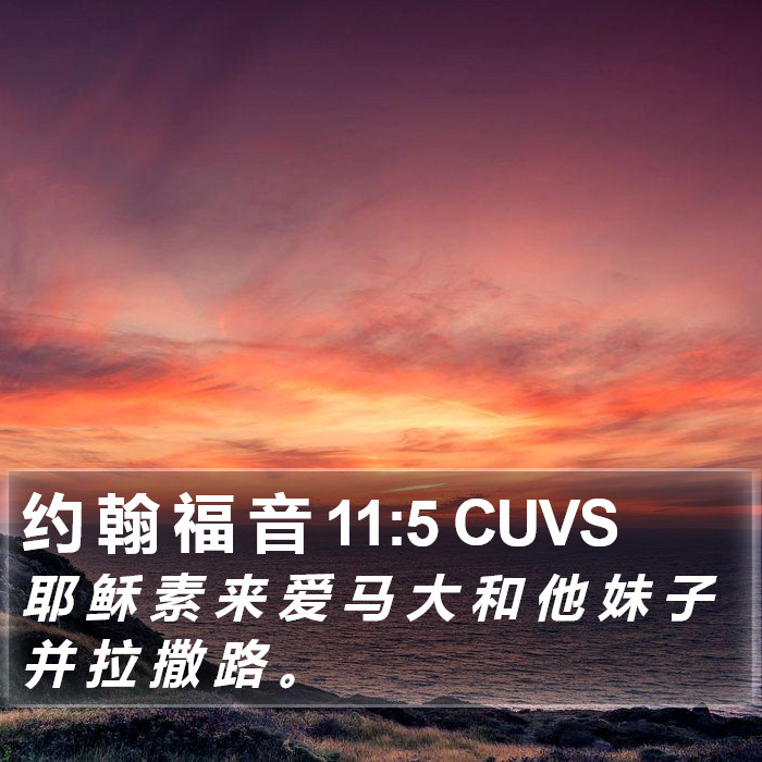 约 翰 福 音 11:5 CUVS Bible Study