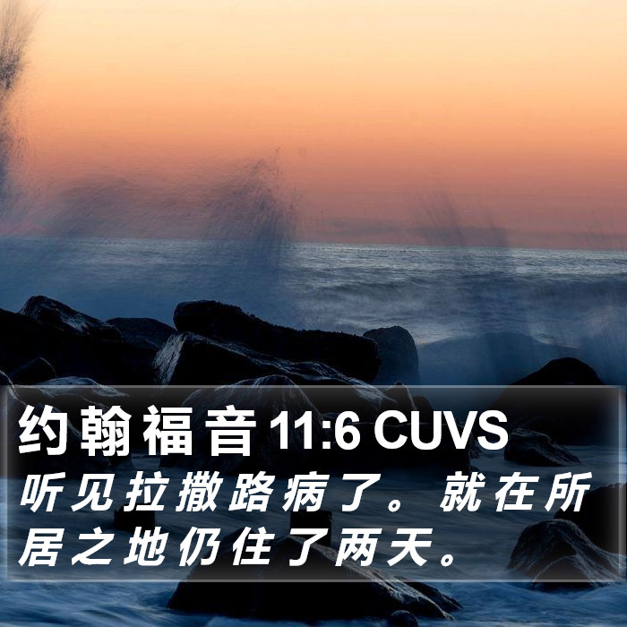 约 翰 福 音 11:6 CUVS Bible Study