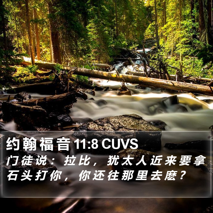 约 翰 福 音 11:8 CUVS Bible Study