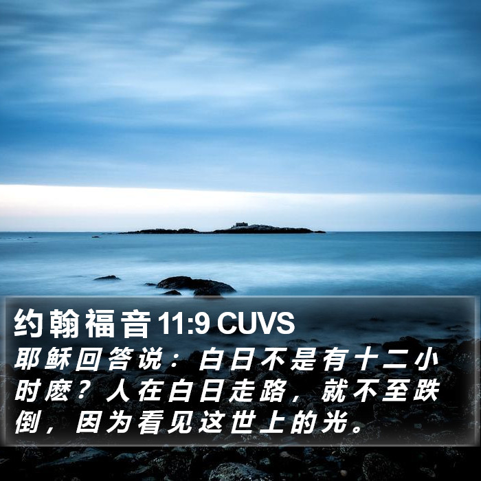 约 翰 福 音 11:9 CUVS Bible Study