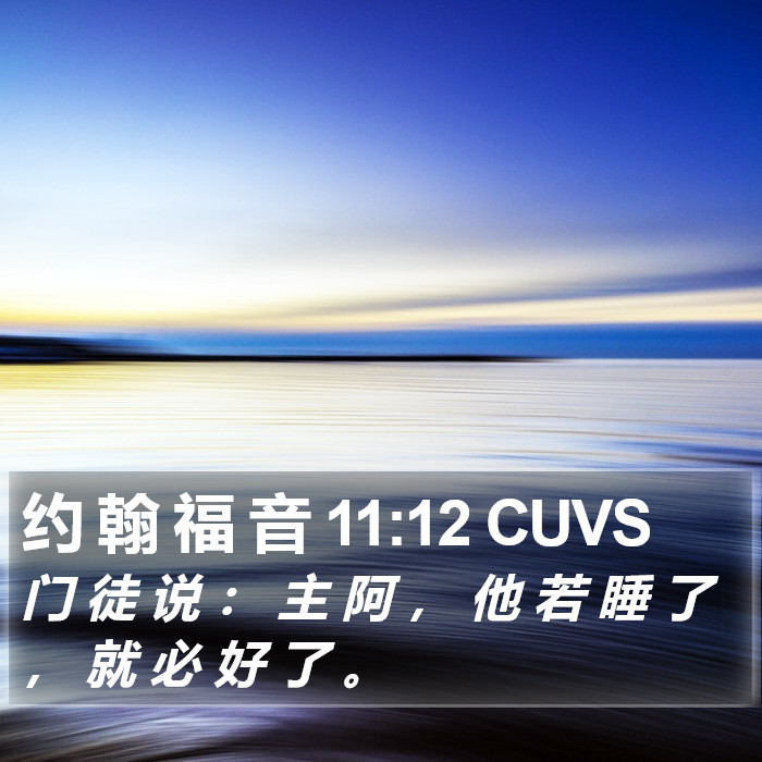 约 翰 福 音 11:12 CUVS Bible Study