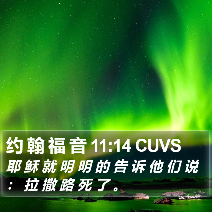 约 翰 福 音 11:14 CUVS Bible Study