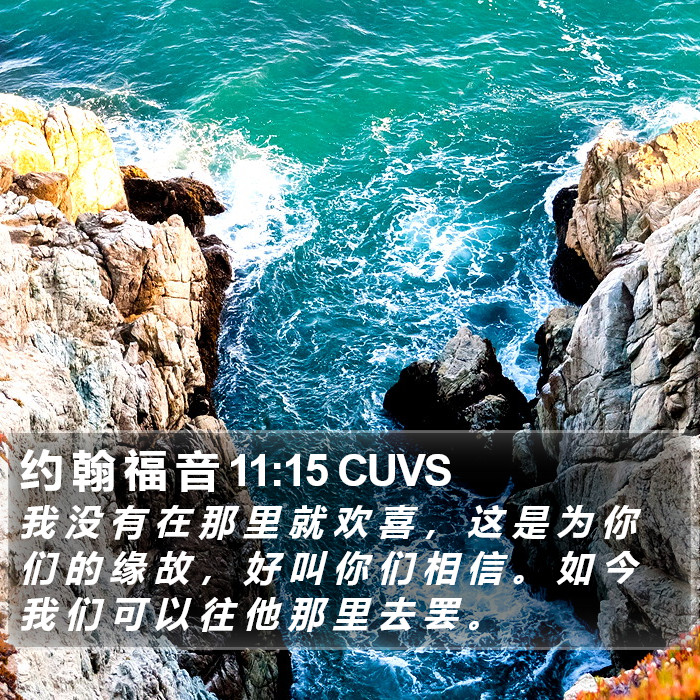 约 翰 福 音 11:15 CUVS Bible Study