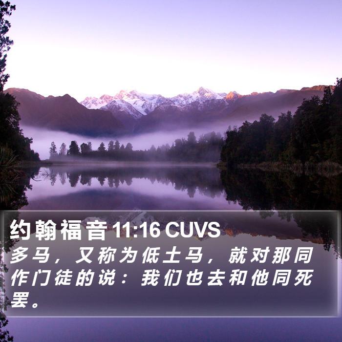 约 翰 福 音 11:16 CUVS Bible Study