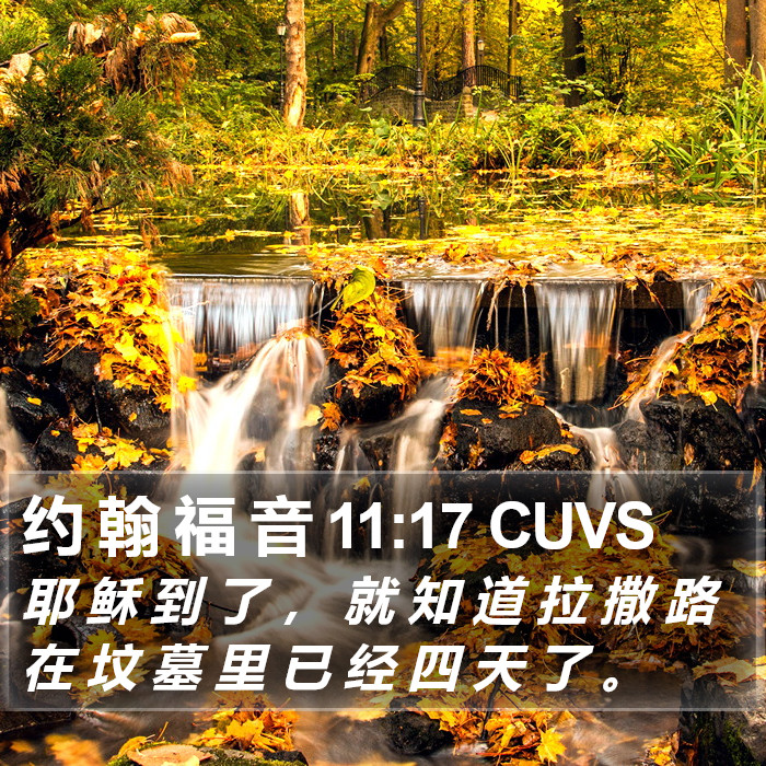 约 翰 福 音 11:17 CUVS Bible Study