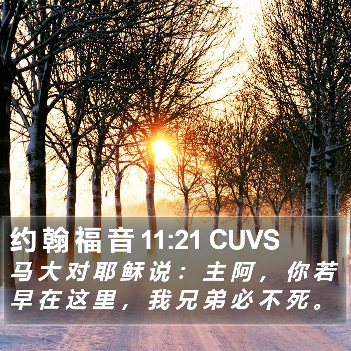 约 翰 福 音 11:21 CUVS Bible Study