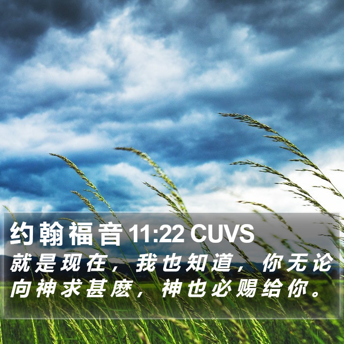 约 翰 福 音 11:22 CUVS Bible Study