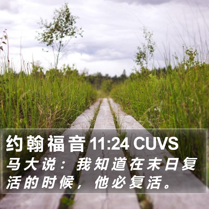 约 翰 福 音 11:24 CUVS Bible Study