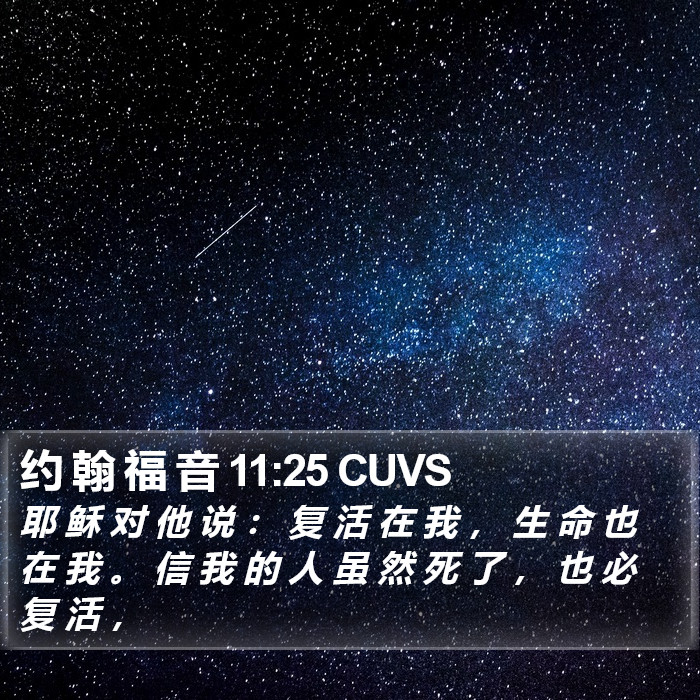 约 翰 福 音 11:25 CUVS Bible Study